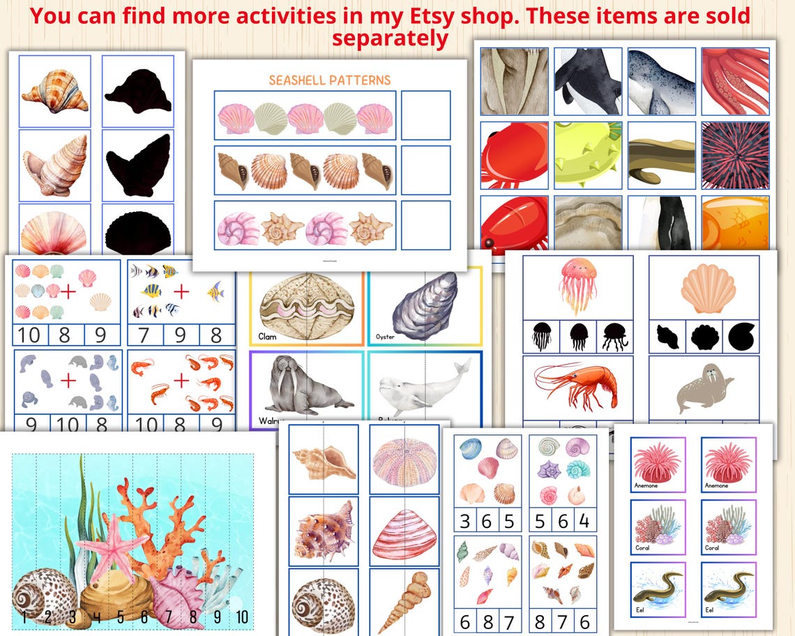 Sort Shells Worksheet Seashell Size Sorting Game,sort by Size Worksheet,size Sorting Game ...