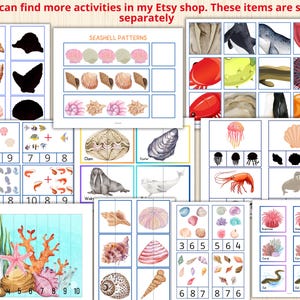 Color Sorting Shells Seashell Size Sorting Game,sort by Size Worksheet,size Sorting Game ...