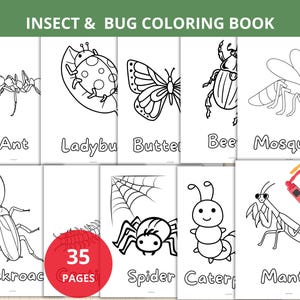 Insect Coloring Pages,Bugs Coloring Sheet,Insect Coloring Book,spring busy Book,insect unit study,Nature Study,Elementary School,homeschool