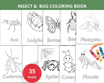 Insect Coloring Pages,Bugs Coloring Sheet,Insect Coloring Book,spring busy Book,insect unit study,Nature Study,Elementary School,homeschool