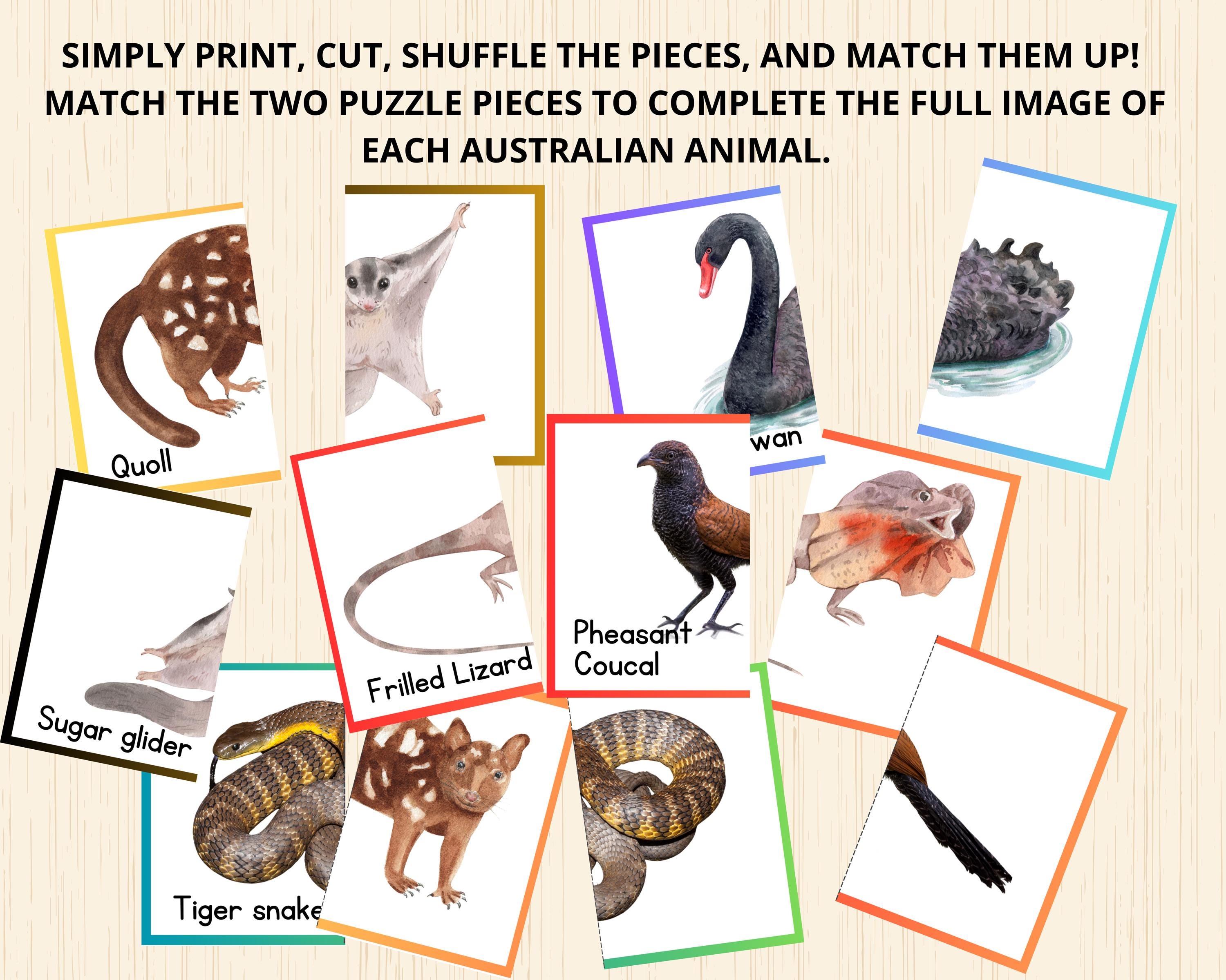 Australian Animals Puzzles,australian Animals Matching Game,australia ...