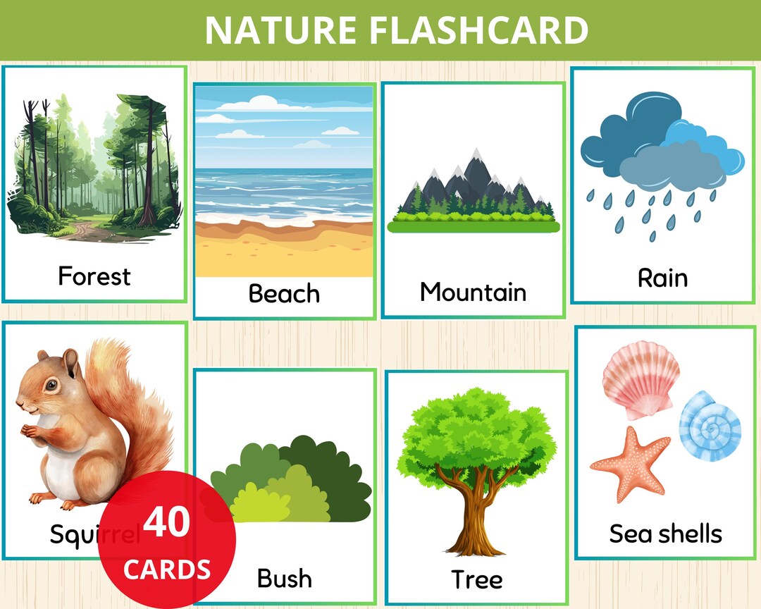 Nature Flashcards nature Vocabulary spring Flashcard nature 