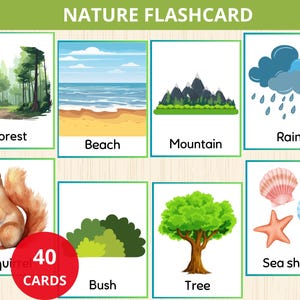 Nature Flashcards,nature Vocabulary,Spring flashcard,nature homeschooling,Nature Activitym,Nature preschool,Landform Cards,Geography cards