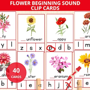 Sonido inicial de flores, sonido de letras de la naturaleza, vocabulario de flores, sonidos del alfabeto de flores, actividad fonética de primavera, letra inicial de primavera, prek