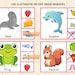 Animals and Their Food Matching,animals Food Games,animal Matching Food ...