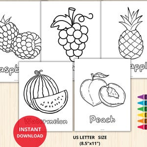 Ideal for homeschooling, classrooms, or creative play at home, it’s a sweet way to explore healthy foods!