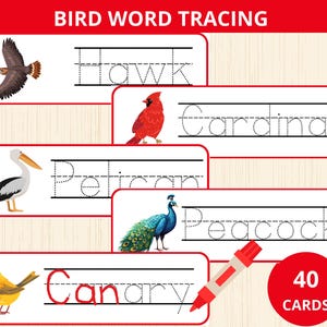 cartões de rastreamento de palavras de pássaros, rastreamento de pássaros de quintal, vocabulário de pássaros, flashcards de identificação de pássaros, estudo de unidade de pássaros, cartão de nomes de pássaros, pré-escola de pássaros