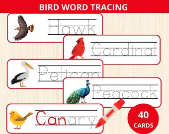 bird word tracing cards,backyard birds tracing,bird Vocabulary,bird identification flashcards,bird unit study,bird names card,bird preschool