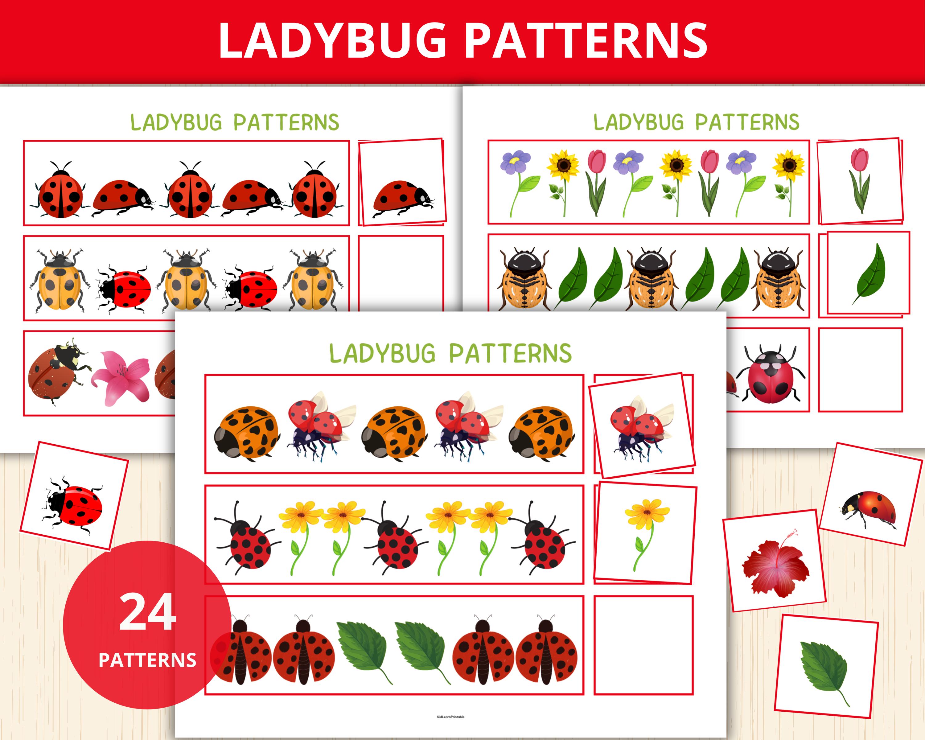 Patrones de mariquitas, ¿qué sigue?, actividad de patrones preescolares,  juego de secuenciación, estudio de unidad de mariquitas, matemáticas  tempranas preescolares, aprendizaje de insectos, libro de actividades sobre  insectos - Etsy México, image size:3000x2400