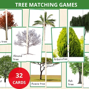 Tarjetas didácticas de árboles, tarjetas para combinar árboles, imágenes reales de árboles, tarjetas Montessori de árboles, tarjetas didácticas de primavera, educación en el hogar sobre la naturaleza, combinación de sombras de árboles, preescolar
