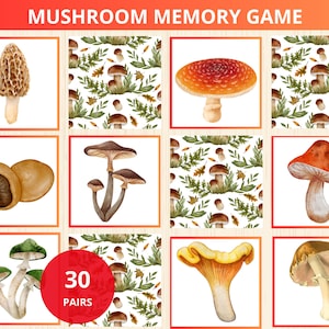 Op de afbeelding: Een geheugenspel met paddenstoelillustraties. Het spel bevat 30 paar kaarten, elk met een andere paddenstoel of patroon. De kaarten zijn geïllustreerd met aquarel schilderijen. De titel van het spel is "Mushroom Memory Game".