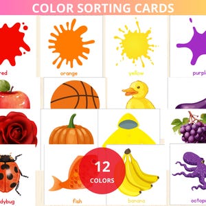 Activité de tri des couleurs,jeu d'association des couleurs pour enfants d'âge préscolaire,cartes de tri des couleurs Montessori,reconnaissance des couleurs,cartes-éclair,activité des couleurs primaires
