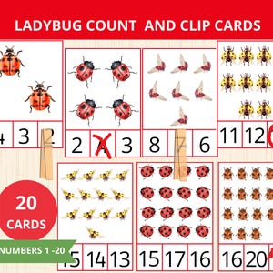 Puede incluir: Tarjetas educativas para contar con mariquitas y números del 1 al 20. Las tarjetas muestran ilustraciones de mariquitas en varias cantidades, con los números correspondientes. Un círculo rojo indica "20 TARJETAS" y una pancarta verde "NÚMEROS 1-20".