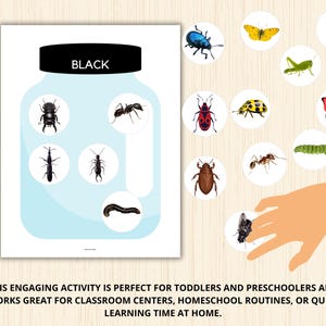 Bug Color Sorting,insect Color Matching,bug Sorting Game,insect Unit ...