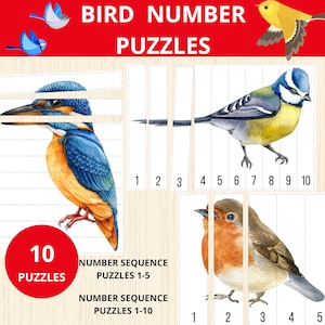 Puede incluir: Un conjunto de 10 rompecabezas de números con temática de pájaros para niños. Los rompecabezas presentan ilustraciones coloridas de pájaros, incluyendo un martín pescador, un carbonero común y un petirrojo. Los rompecabezas están numerados del 1 al 10 y están diseñados para ayudar a los niños a aprender el reconocimiento de números y la secuenciación.