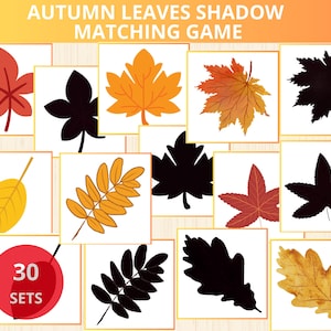 Activités d'association d'automne, Jeu d'association d'ombres de feuilles d'automne, École maternelle d'automne, Cartes Montessori d'automne, Identification des feuilles, Livre occupé d'automne, Prek