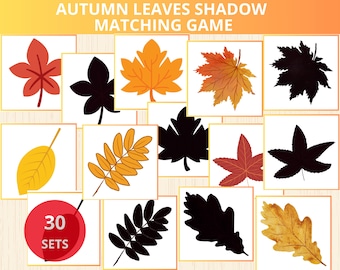 Puede incluir: Un juego de 30 cartas de asociación de sombras de hojas de otoño. Las cartas presentan ilustraciones coloridas de hojas y sus sombras correspondientes. Este juego educativo es perfecto para niños de preescolar y jardín de infantes para aprender sobre formas, colores y asociación.