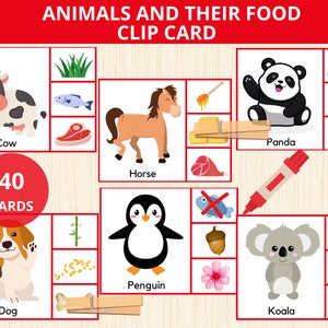 Animais e sua correspondência de comida, Jogos de comida de animais, Comida de correspondência de animais, cartões de clipe de comida de animais, flashcards de animais, animais montessori, prek