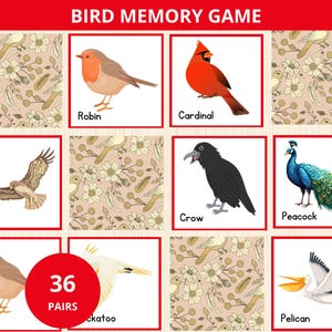 Birds Memory Game,Bird Matching Activity,bird Vocabulary,Backyard Birds Memory Game,Visual Discrimination,bird unit study,Matching Games