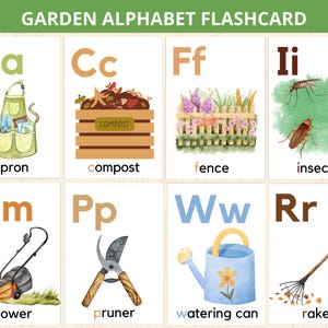 jardim cartões de alfabeto, natureza flashcard, ABC Flashcard, alfabeto cartões para pré-escola, cartas de letras, aprendizagem precoce, primavera abc, pré-escola, jardim de infância