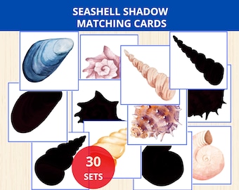 Seashell shadow matching cards,summer montessori,summer activity, shadow matching card,preschool, ocean printable,Kindergarte, Visual Skills