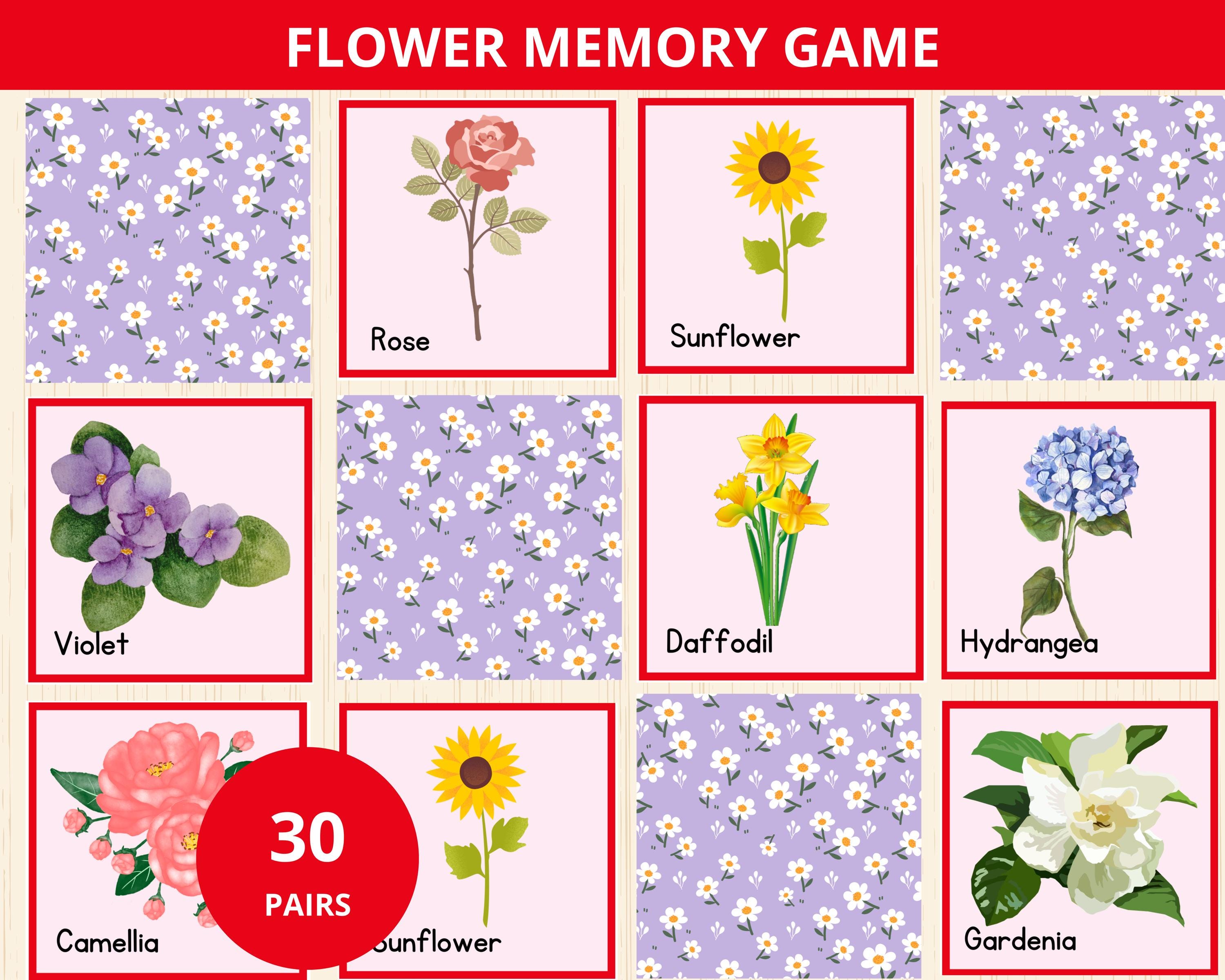 Flowers Memory Game,spring Matching Activity,spring Party Game
