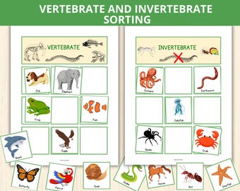 animal sorting game,Vertebrates and Invertebrates Sorting Cards,animal Sorting Activity,Animal Classification,Cut & Paste Worksheets prek