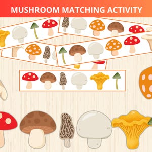 Pilz-Zuordnungsspiel, Herbstliche Mustererkennungsaktivität, Pilzmusterspiel, Mustererkennung, Herbstliche Vorschule, Schneideübungen