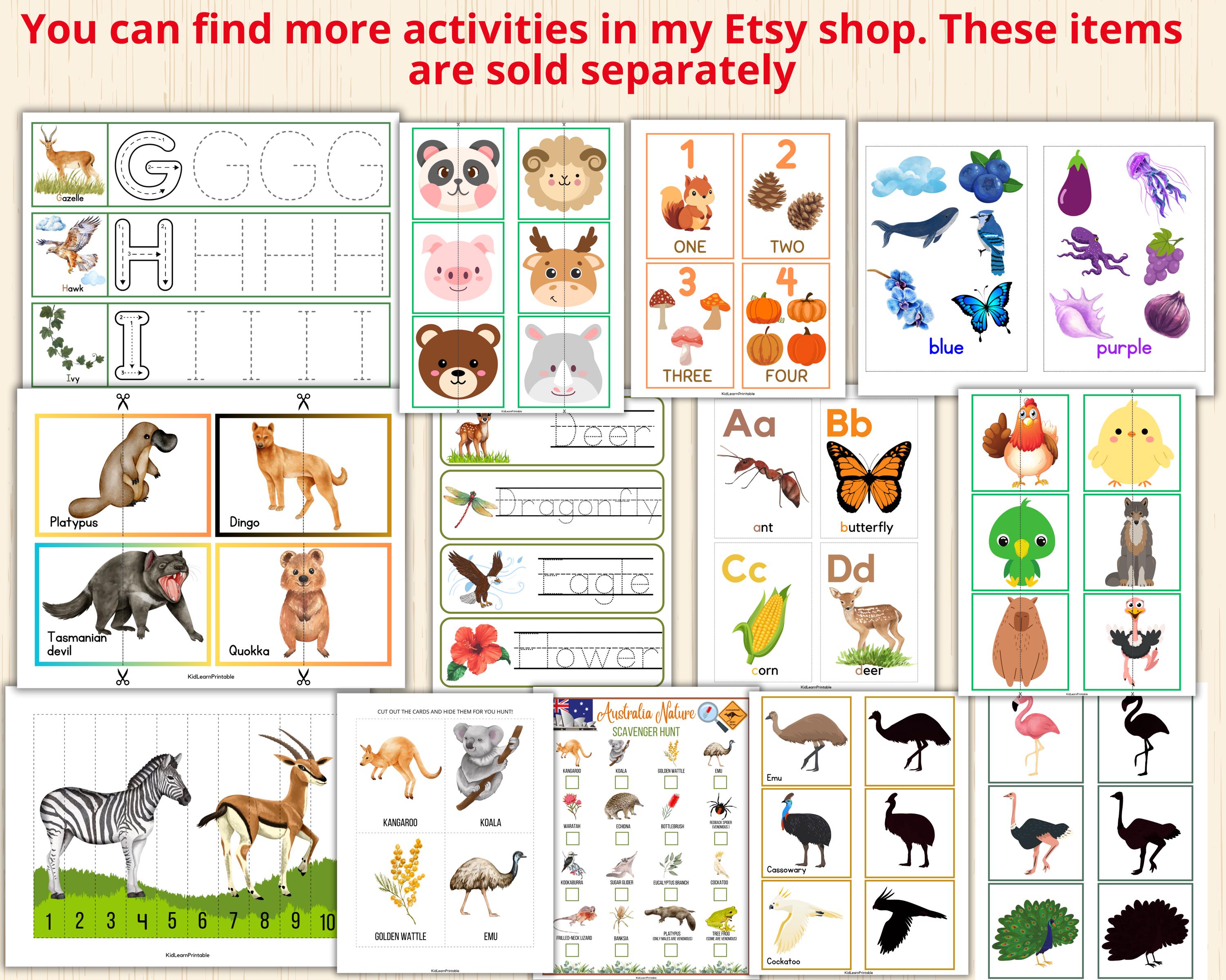 Vertebrates Sort Classification of Vertebrates,animal Classification Sorting,animal ...