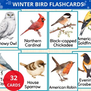 Könnte beinhalten: Ein Satz Wintervogel-Lernkarten mit Aquarellillustrationen verschiedener Vogelarten. Die Karten enthalten die Namen der Vögel, wie Schneeeule, Kardinal und Amerikanischer Goldfinch. Das Set enthält 32 Karten.
