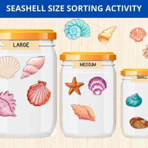 Juego de clasificación por tamaño de conchas marinas, hoja de trabajo de clasificación por tamaño, juego de clasificación por tamaño, clasificación de conchas y frascos, preescolar de verano Montessori, actividad de clasificación de playa
