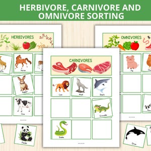 Könnte beinhalten: Ein druckbares Lernspiel für Kinder, um Tiere in drei Kategorien zu sortieren: Pflanzenfresser, Fleischfresser und Allesfresser. Das Arbeitsblatt zeigt bunte Illustrationen von Tieren wie Giraffe, Pferd, Kaninchen, Kuh, Löwe, Wolf, Hai, Schlange, Krokodil, Schwein, Huhn, Waschbär, Orca und Falke.