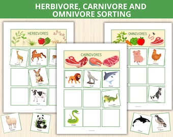 animals sorting activity,Herbivore Carnivore Omnivore Sorting Cards,animal diet classification,Montessori Sorting,Matching Activity Sorting