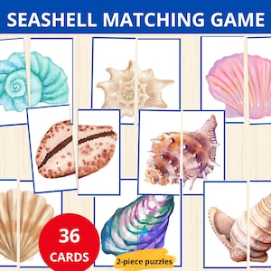 Op de afbeelding: Schelp memory spel met 36 kaarten. De kaarten tonen kleurrijke illustraties van verschillende schelpen, waaronder roze, blauwe, bruine en paarse. Het spel is ontworpen voor kinderen om verschillende soorten schelpen te leren kennen.