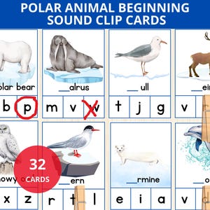 Sons iniciais de animais polares, som inicial de animais do Ártico, flashcards fonéticos, som de letra inicial, pré-escola montessori de inverno, correspondência de som