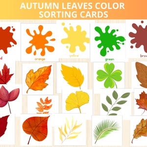 Atividade de classificação de cores de outono, jogo de correspondência de cores, classificação de cores de folhas de outono, cartões de classificação de cores Montessori, reconhecimento de cores, pré-escola de cores