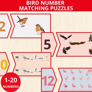 以下が含まれることがあります： 鳥の数字合わせパズル。鳥と数字のイラストが特徴です。パズルには、コマドリ、ワシ、カモメ、フラミンゴの画像が含まれています。数字は1から20までです。