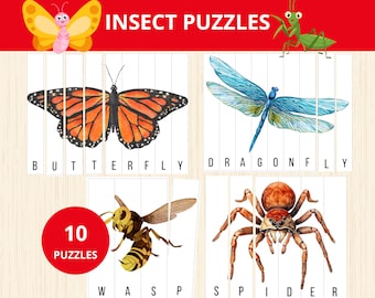 insect Word Puzzle,bug puzzle,montessori math spring,insect activity, toodler nature, montessori puzzle,insect matching activity preschool