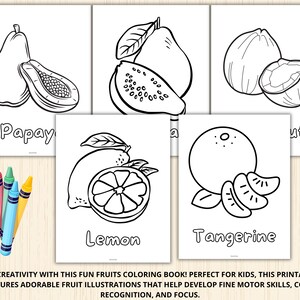 May include: Black and white colouring pages featuring illustrations of various fruits, including papaya, lemon, tangerine, and coconut. The pages are titled with the name of each fruit.
