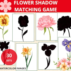 Bijpassende kaart bloemschaduw, bloemflitskaarten, lenteschaduw, bijpassende kaarten, bloem komt overeen met de foto's, lentekleuterschool, peuter, natuurkaarten