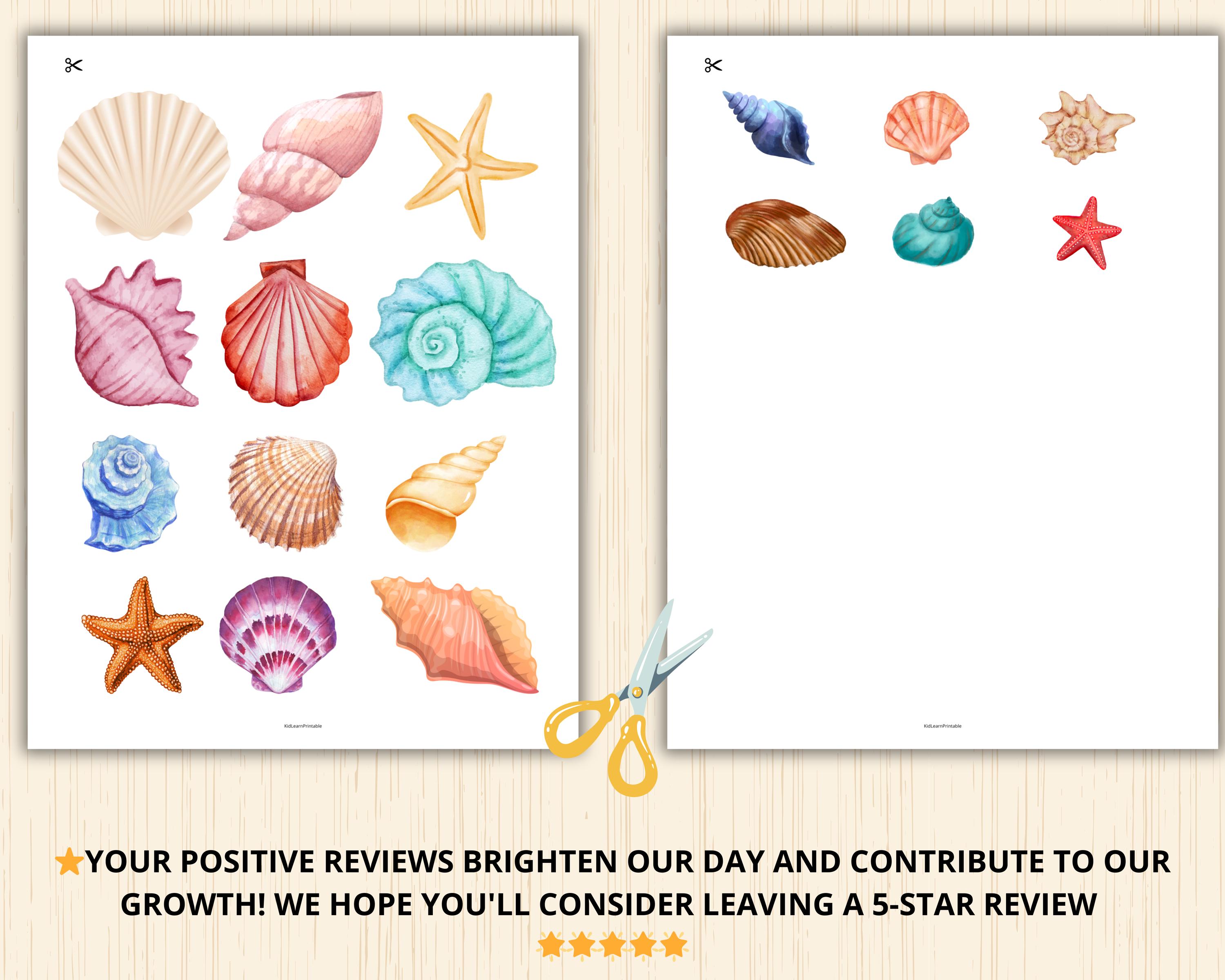 Seashell Size Sorting Game,sort by Size Worksheet,size Sorting Game ...