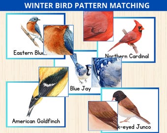 May include: A watercolour illustration for a winter bird pattern matching game. The image shows detailed paintings of various birds, including an Eastern Bluebird, Northern Cardinal, Blue Jay, American Goldfinch, and Dark-eyed Junco, with corresponding feather patterns. Text at the top reads "WINTER BIRD PATTERN MATCHING."