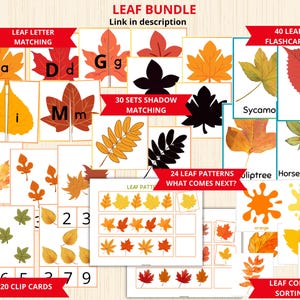 May include: A set of printable autumn leaf educational activities for children. The set includes leaf letter matching, leaf shadow matching, leaf patterns, leaf colour sorting, and leaf flashcards. The activities are colourful and engaging, and they are perfect for teaching children about leaves and the autumn season.