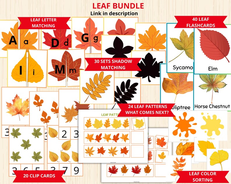 May include: A set of printable autumn leaf educational activities for children. The set includes leaf letter matching, leaf shadow matching, leaf patterns, leaf colour sorting, and leaf flashcards. The activities are colourful and engaging, and they are perfect for teaching children about leaves and the autumn season.