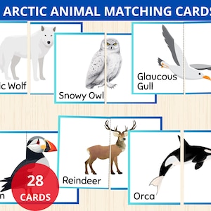correspondência de animais do ártico, quebra-cabeça de animais do ártico, cartão Montessori de animais do inverno, flashcards de animais do ártico, cartão flash de animais polares, quebra-cabeça de 2 peças