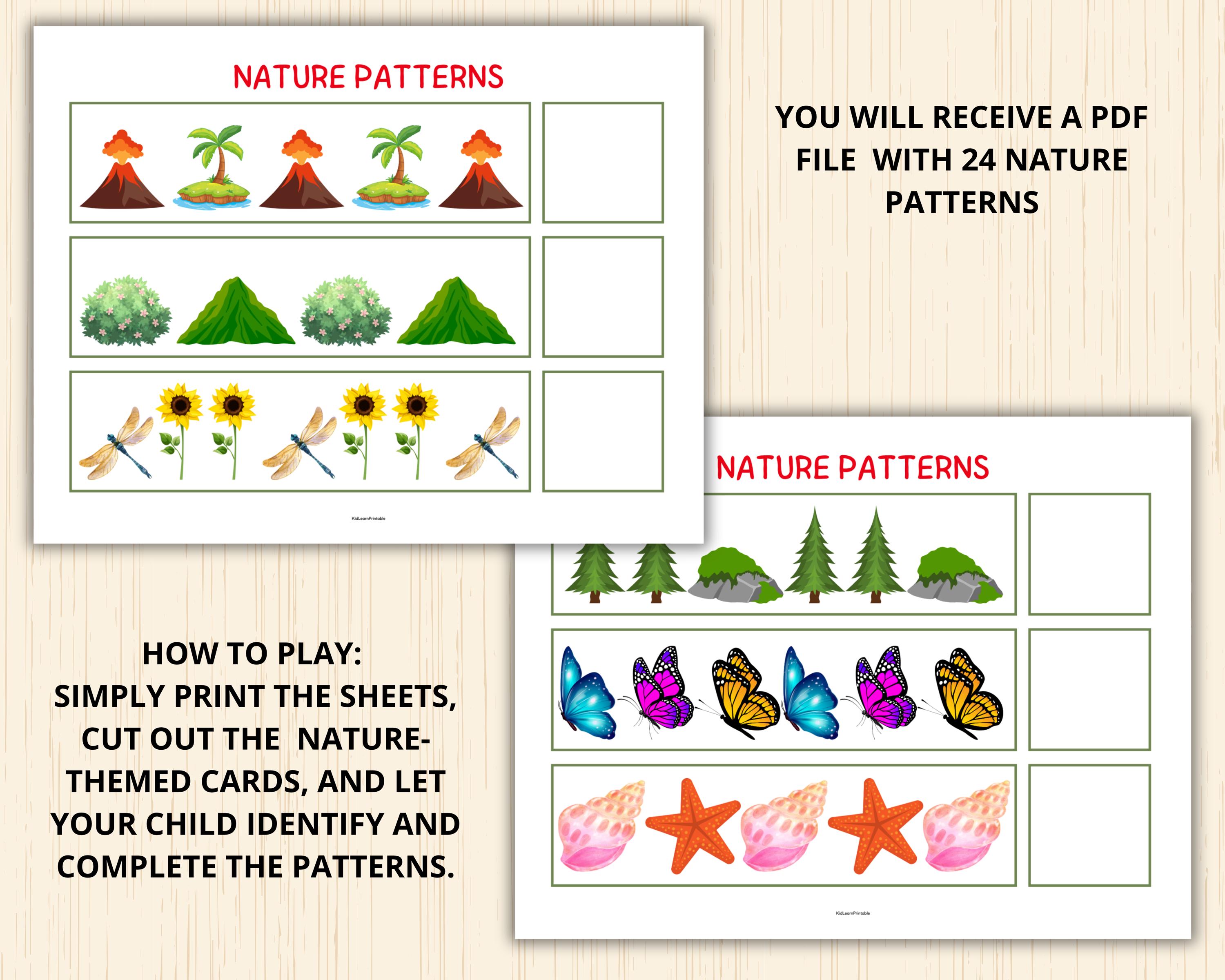 Patterns In Nature Activities For Kids