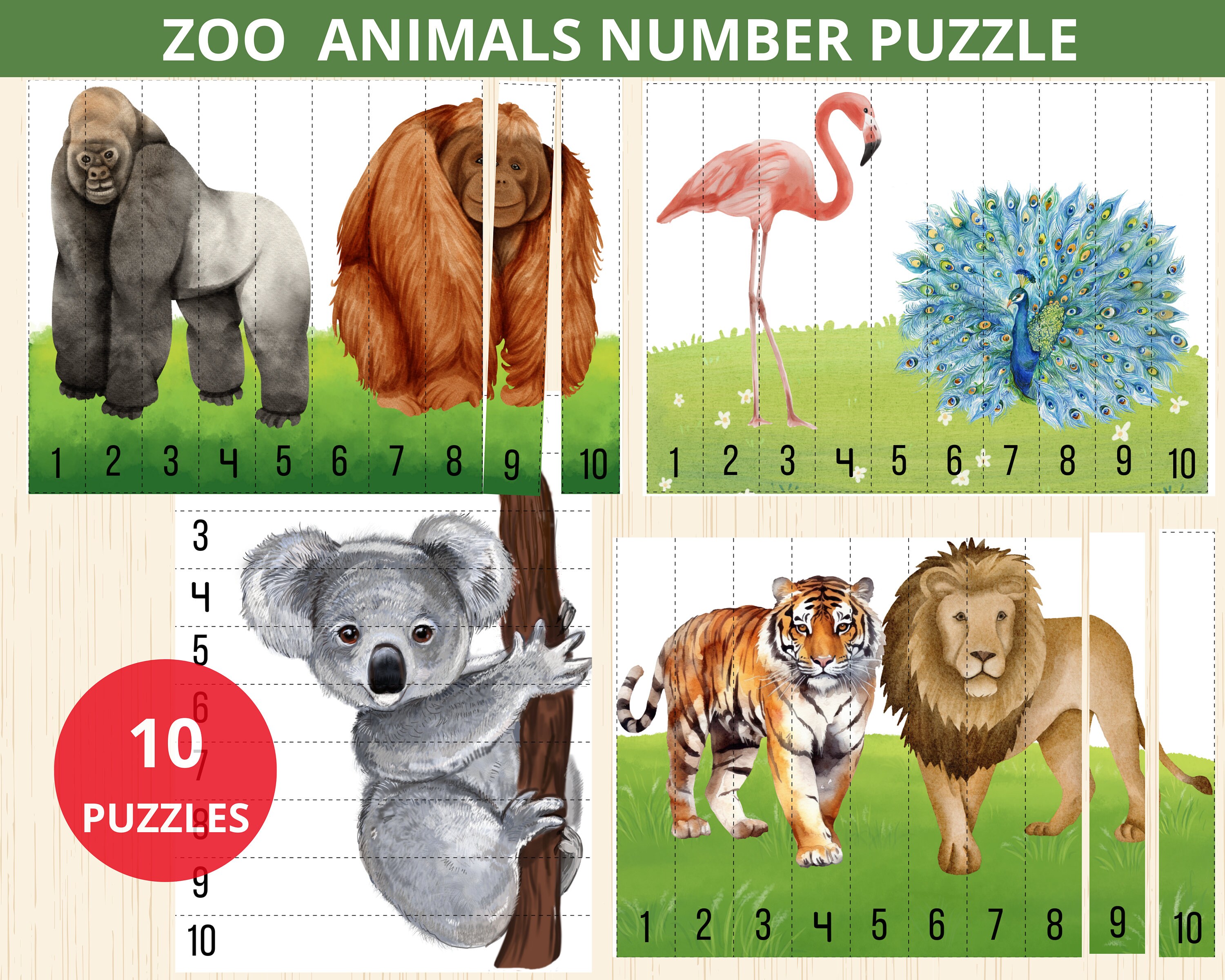 zoo Animal Number Sequence 1-10 puzzles,zoo animal Montessori,preschool puzzle,animal puzzle game,counting 1-10,safari animals,jungle animal