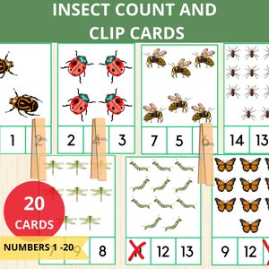 Comptage d'insectes et cartes à clip,numéros 1-20,insectes Montessori,cartes de comptage,activité sur les insectes,activités de printemps,mathématiques préscolaire,cartes de comptage,prek