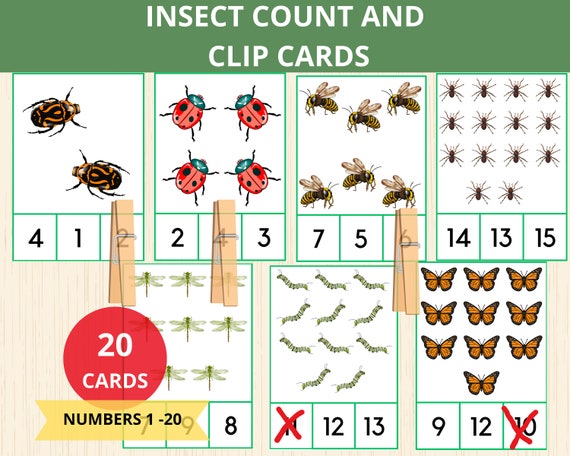 Insect count and clip cards,numbers 1-20,insect Montessori,counting cards,bug activity, srping activities,math preschool,count cards,prek