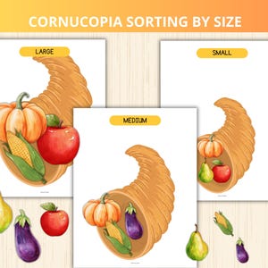 May include: Educational print featuring a cornucopia sorting activity by size. The image shows three cards labeled "Large", "Medium", and "Small", each with a cornucopia filled with various fruits and vegetables, including pumpkins, apples, and corn.